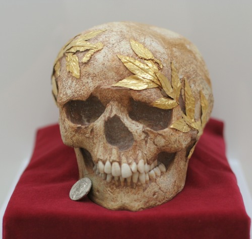records-of-fortune: The skull of a young athlete, with a gold wreath fastened to the bone. Roman, 1s