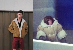 did-not:  I am the IKEA monkey