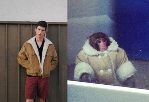 did-not:  I am the IKEA monkey