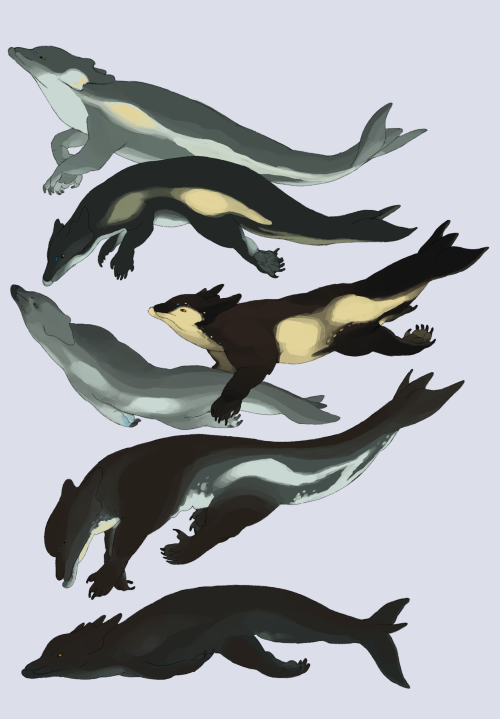 Some Of The Many Ways Belugirins Can Look
