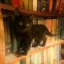 thewayileftyoureading