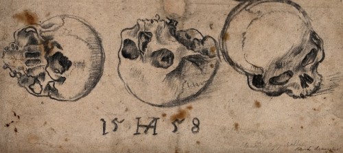 deathandmysticism:Heinrich Appenzeller, A skull, three views, 1558
