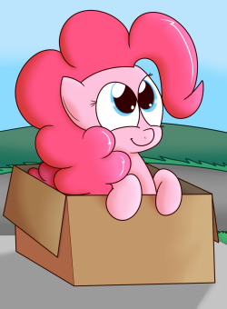 mrdegradation:Ponk in a shaded box!x3 Cuuuute~