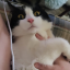 the-hecken1ng