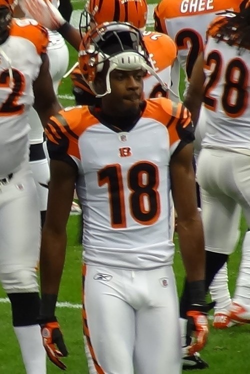 I miss Aaron Hernandez’s big dick in those NFL pants. And GOT DAMN AJ Green!!!