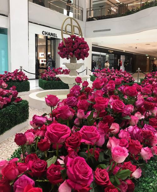 skulls–nd-roses:  russia-instagram:  http://russia-instagram.tumblr.com/  ❤️ 