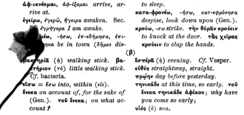 Pressed flower.
From p. 89 of The First Year of Greek by James Turney Allen (1917). Does not include metadata indicating library of origination or date of digitization (but does include Stanford library artifacts).