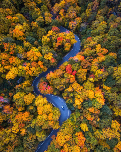 wordsnquotes:  Photographer Michael Matti and his roommate Drove Through Every State in the Northeast US to Photograph the Beauty of Autumn Keep reading  a u t u m n 