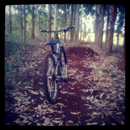 ufodastico:  Pra terminar o ano bem … #love #Downhill #MTB #Bike