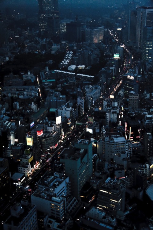 britishteancrumpets: Tokyo streets under the rain