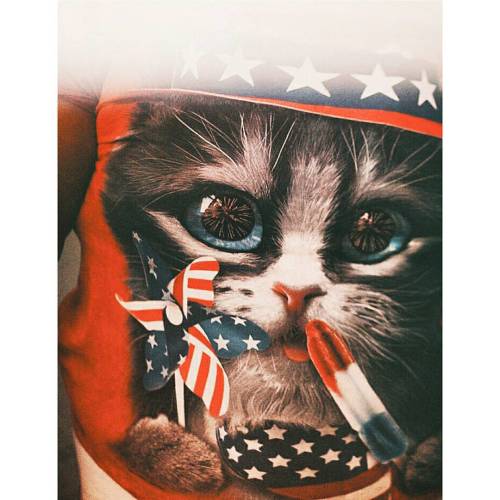 //kitty america #americana