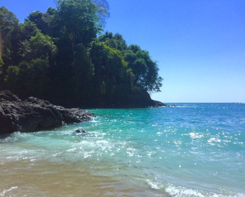 PARADISE is were your soul Gets healed COSTA RICA @eatlovetravelcostarica FOLLOW for more :)