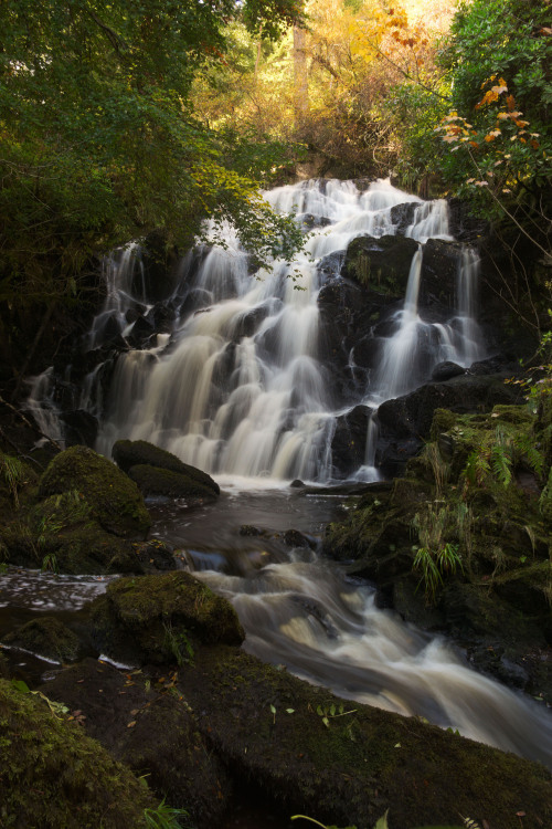 Birnam FallsFinally, I managed to take a picture of Birnam Falls in all its glory, even with some Au