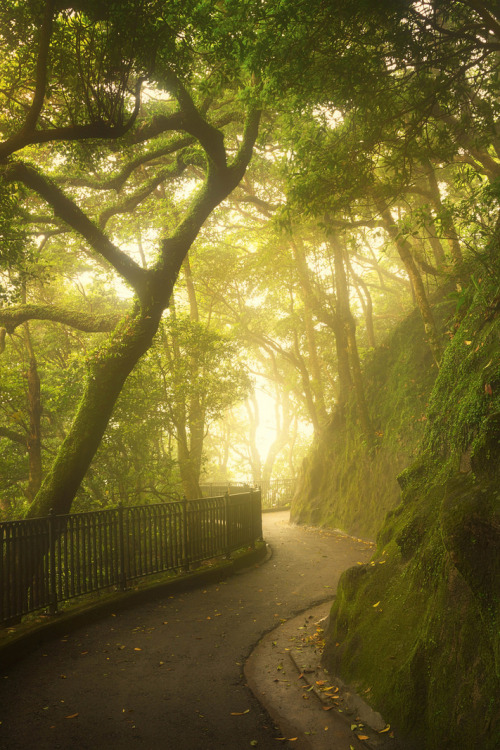 lsleofskye:  The Green Walk 
