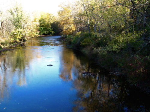 Looking up and down the Maiden Creek.