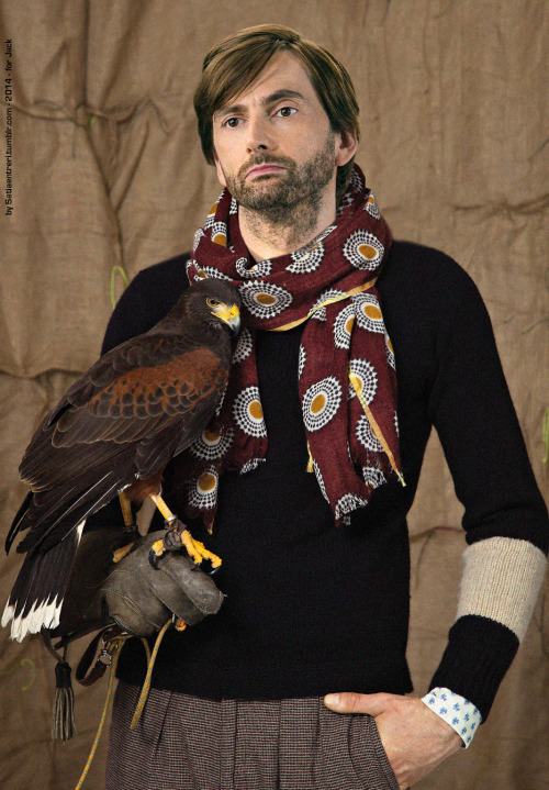 gallifreyinfinite.tumblr.com/post/101753400625/