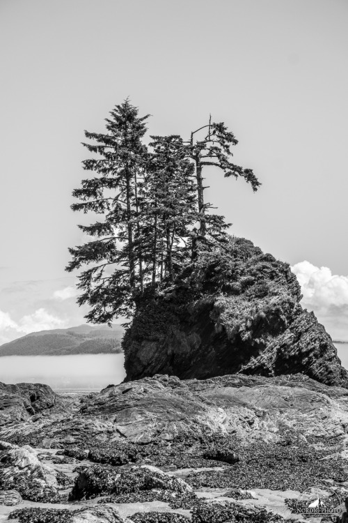 7.7.2014 - day 5 on the West Coast Trail - 1#BC #Canada #VancouverIsland #WestCoastTrail #NordicPhot