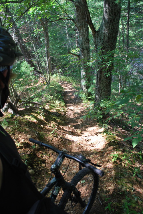 Out with the old and in with the new!Finally retired my first MTB. I learned to ride you, you treate