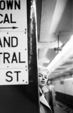 allaboutmarilynmonroe:  Marilyn Monroe photographed by Ed Feingersh, 1955