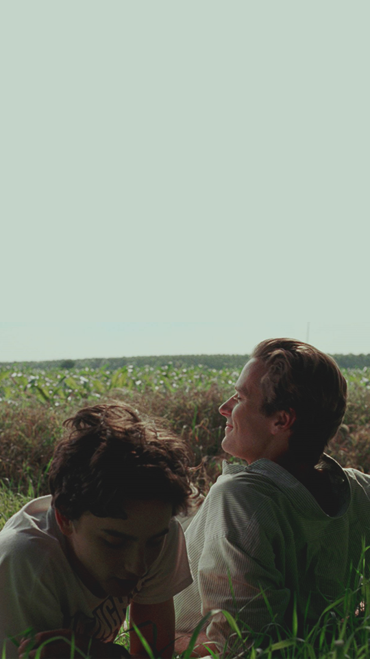 Crema 19 Call Me By Your Name Hd Wallpaper Collection