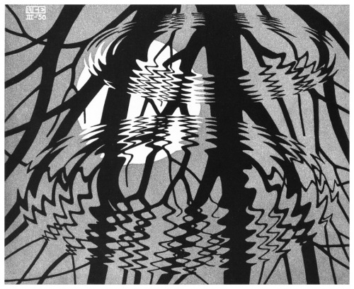 oxidi:“Rippled Surface”linoleum cut, 25.9 x 32 cmM. C. Escher, 1950