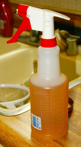 soyafrican:  chemicalfreelife: . SOLUTIONS:  DIY, Nontoxic All-Purpose Cleaner 