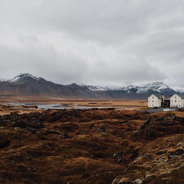 freshbrewedlife:  @laurenapelphoto 