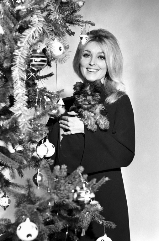 the60sbazaar:A Christmas treat from Sharon Tate 