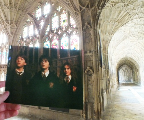 andmiralampersand: r-u-thunderstorms: The Cloisters at Gloucester Cathedral THIS IS THE BEST VERSION