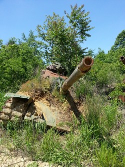 toocatsoriginals:  Abandoned M-60 Patton Target Tanks - Fort