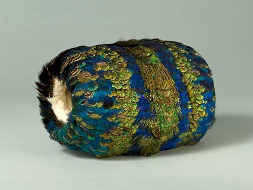 omgthatdress: Peacock Feather Muff 1860s Musée Galliera de la Mode de la Ville de Paris