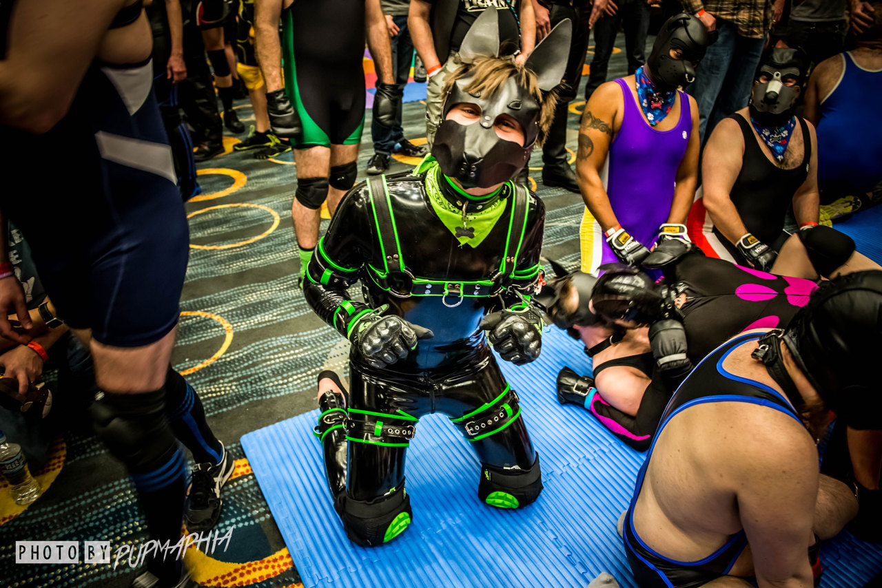 Me at the puppy mosh at Mid-Atlantic Leather 2017 (taken by @pupmaphia).