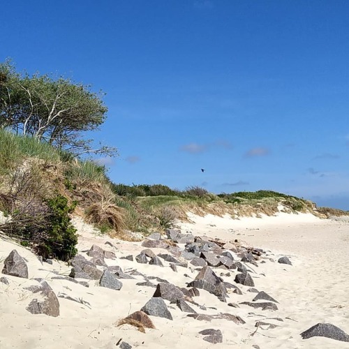 Die charakteristischen Reetdächer, die hübschen Windmühlen, der weite Sandstrand, das gesunde Seekli