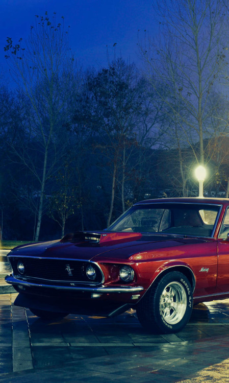 h-o-t-cars:           Ford Mustang Boss 302   | Source   