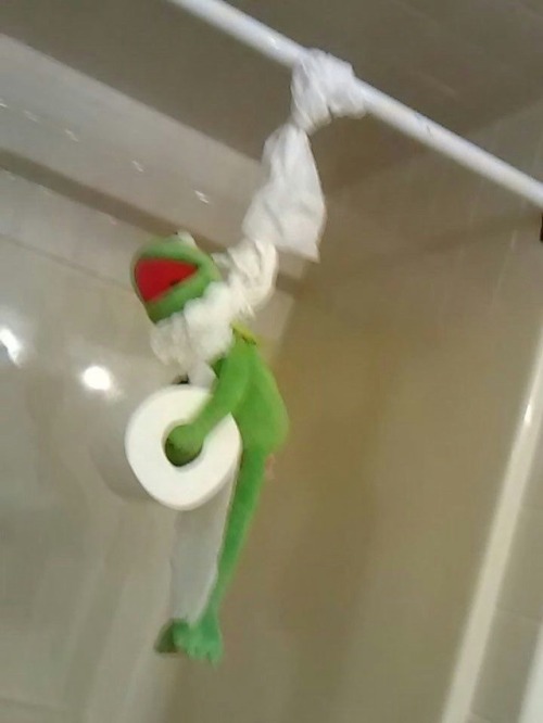 sadmemegf:  kermit mood: school adult photos