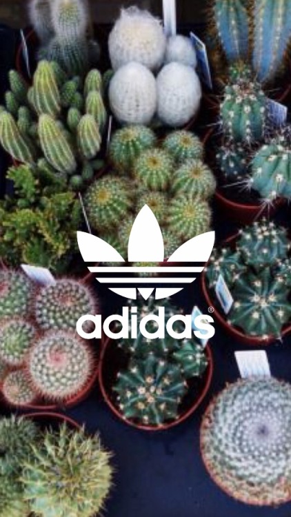 rxlockscreens - Random adidas lockscreens