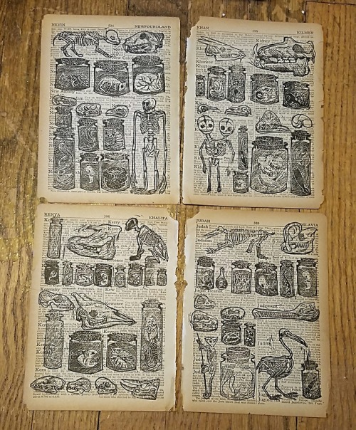 More relief printed cabinets of curiosities! The last set of four pages has no duplicate specimens.