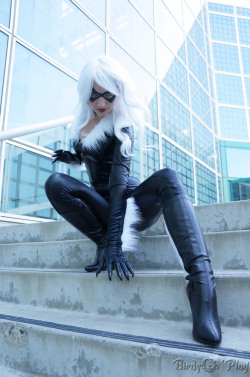 comicbookcosplay:  Black Cat cosplayed by