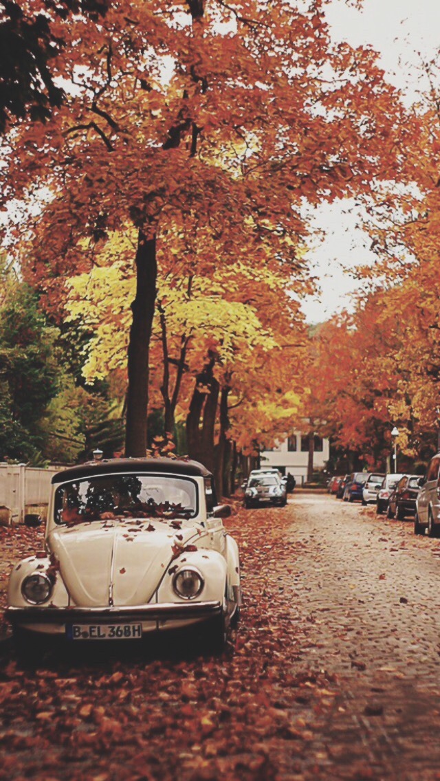 phone-wallpapers-heaven:  Falling for the Autumn /Lockscreens/  