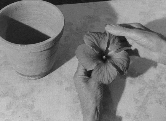 nobrashfestivity: Jean Cocteau, Testament of Orpheus, 1960 more