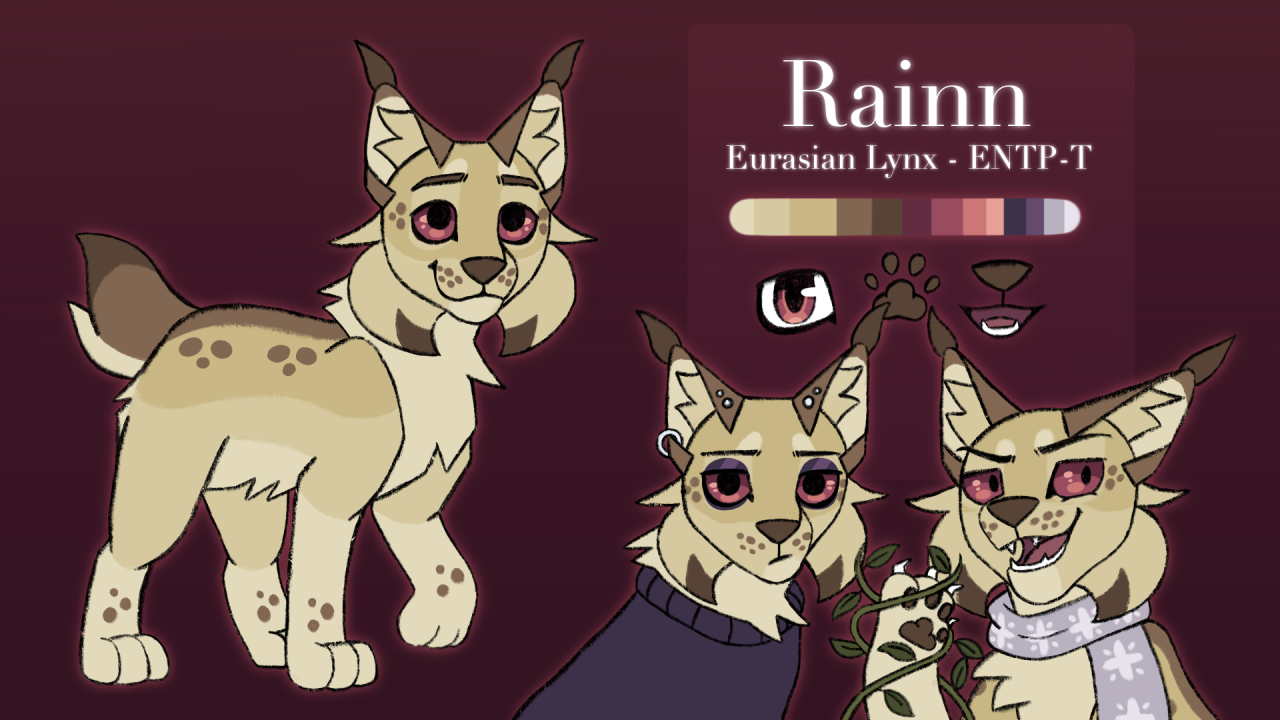 A reference sheet for my mascot, Rainn :)