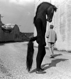 miss-catastrofes-naturales:  Lucien Clergue   Le Testament D'Orphée - Jean Cocteau (1960)   