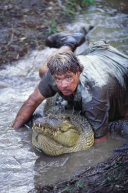 bossfit:  Steve Irwin Day is celebrated on