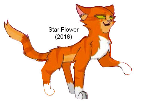 Star Flower(2016 version)