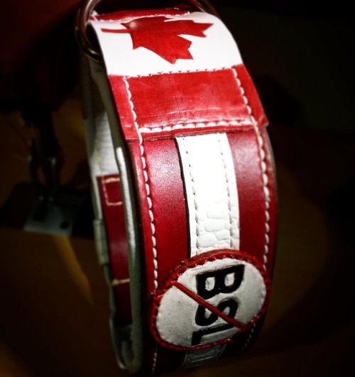 Some customization with the anti Breed specific Legislation.