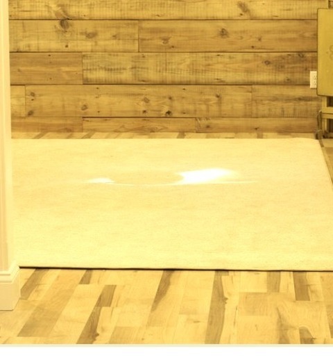Basement Lookout New YorkExample Of A Mid-sized Farmhouse Look-out Laminate Floor And Multicolored Floor