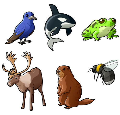 First Wave (Animal icons)
Some endangered species in Canada:
• Western Purple Martin
• Killer Whale
• Leopard Frog
• Southern Mountain Caribou
• Vancouver Island Marmot
• Western Bumble Bee
Client: BC Hydro
2013 - 2014