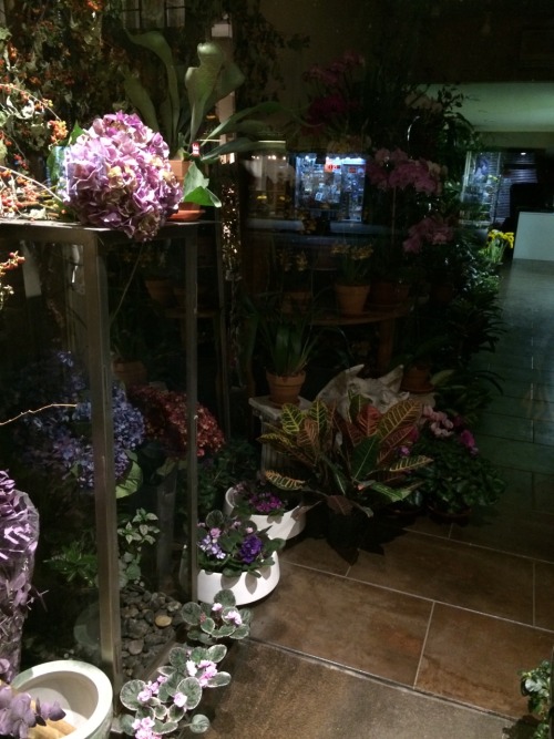 zubat:  Saw this flower store walking the streets of NYC. 