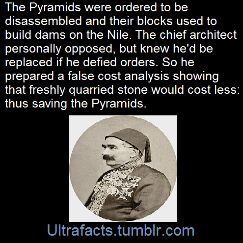 ultrafacts:   Louis Maurice Adolphe Linant de Bellefonds better known as Linant Pasha was