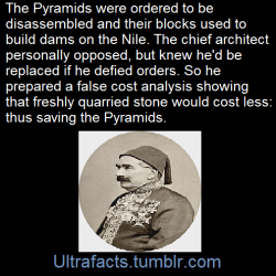 Ultrafacts:   Louis Maurice Adolphe Linant De Bellefonds Better Known As Linant Pasha Was